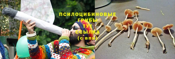 тгк Арсеньев